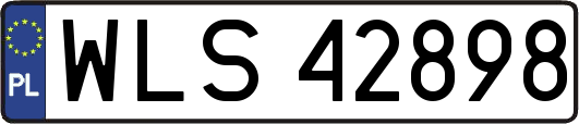WLS42898
