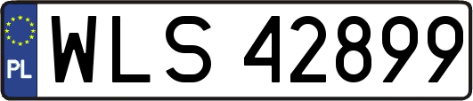 WLS42899