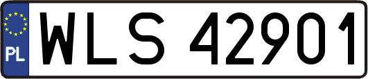 WLS42901