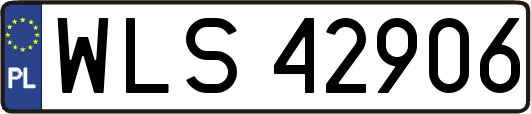 WLS42906