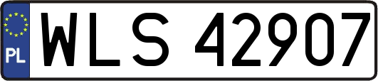 WLS42907