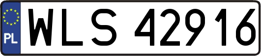 WLS42916