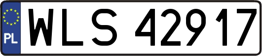 WLS42917