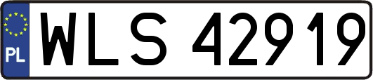 WLS42919