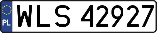 WLS42927