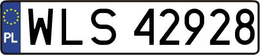WLS42928