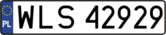 WLS42929