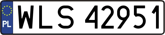 WLS42951