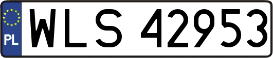 WLS42953