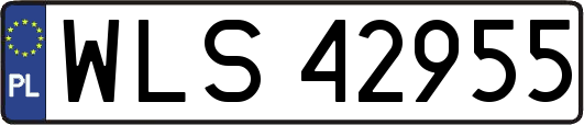 WLS42955