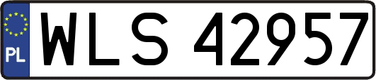 WLS42957
