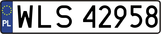 WLS42958