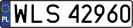 WLS42960