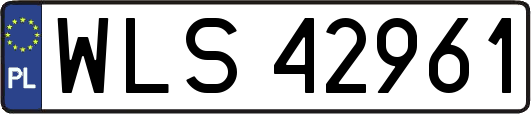 WLS42961