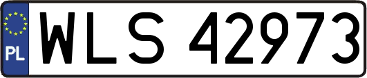 WLS42973