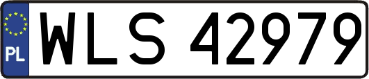 WLS42979