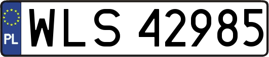WLS42985