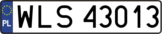 WLS43013