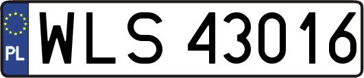 WLS43016