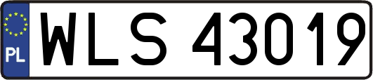 WLS43019
