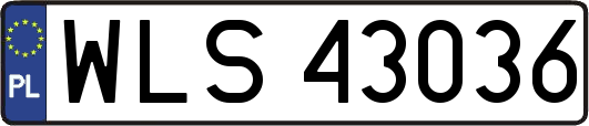 WLS43036