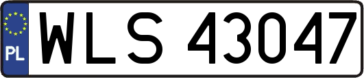 WLS43047