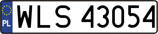 WLS43054