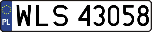 WLS43058