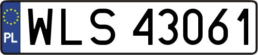 WLS43061
