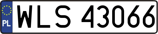 WLS43066