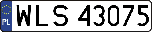 WLS43075