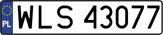 WLS43077