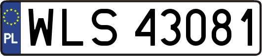 WLS43081