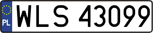WLS43099