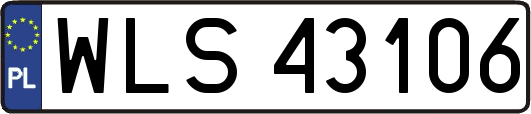 WLS43106