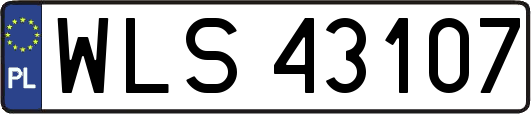 WLS43107