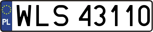 WLS43110