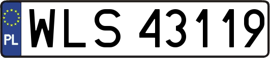 WLS43119
