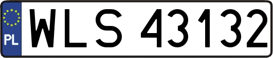 WLS43132