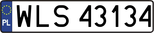 WLS43134