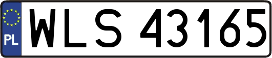 WLS43165