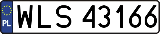 WLS43166
