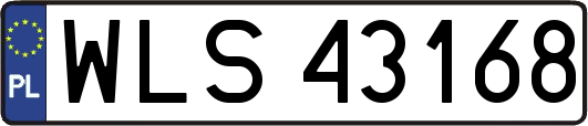WLS43168