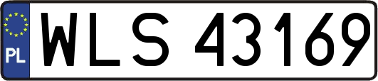 WLS43169