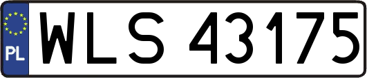 WLS43175