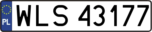 WLS43177