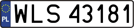 WLS43181
