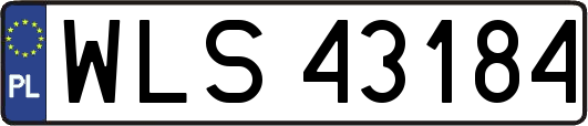WLS43184