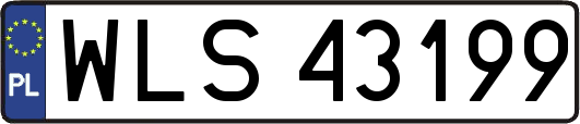 WLS43199