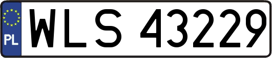 WLS43229